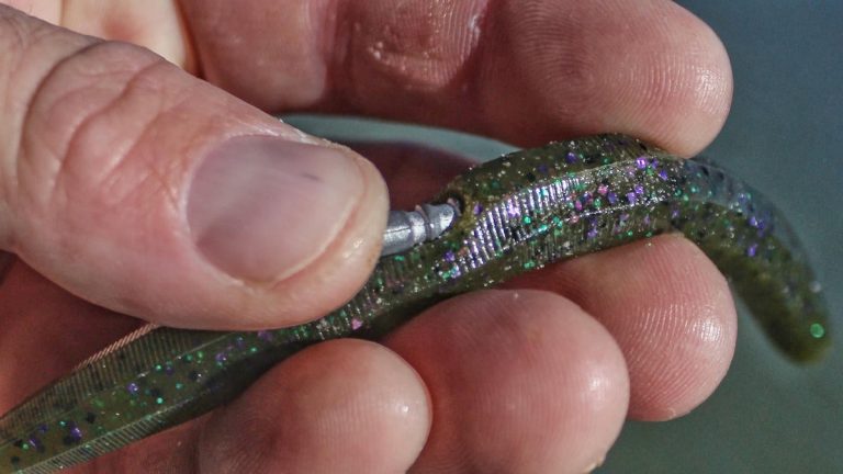 3 Alternative Uses for Neko Rig Bass Fishing Weights