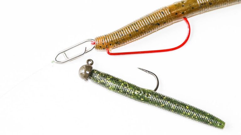 How to Use a Senko to Catch More Bass from the Bank