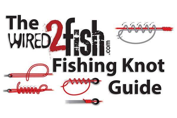 Best Fishing Knots Every Angler Should Know