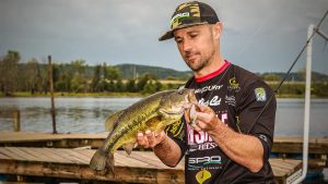 5 Must-Find Fall Bass Fishing Crankbait Targets