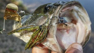 10 Clever Ways to Use Zip Ties in Your Fishing Boat