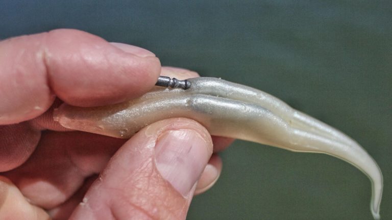 3 Alternative Uses for Neko Rig Bass Fishing Weights