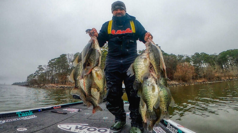 Best Crappie Lakes and Fishing Destinations in America