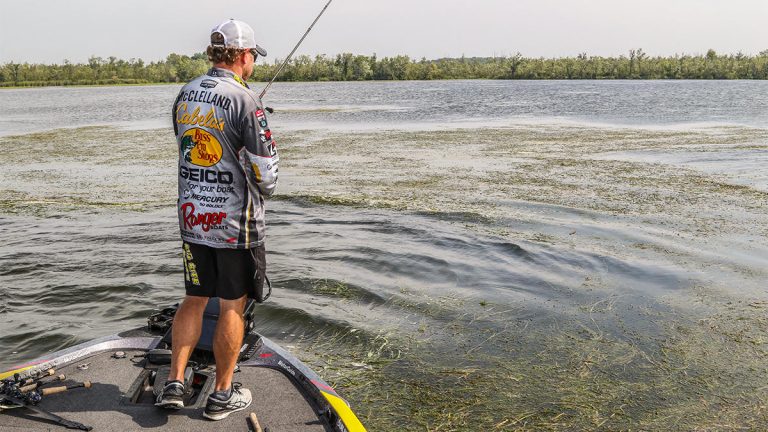 How to Bass Fish the Edges of Thick Cover