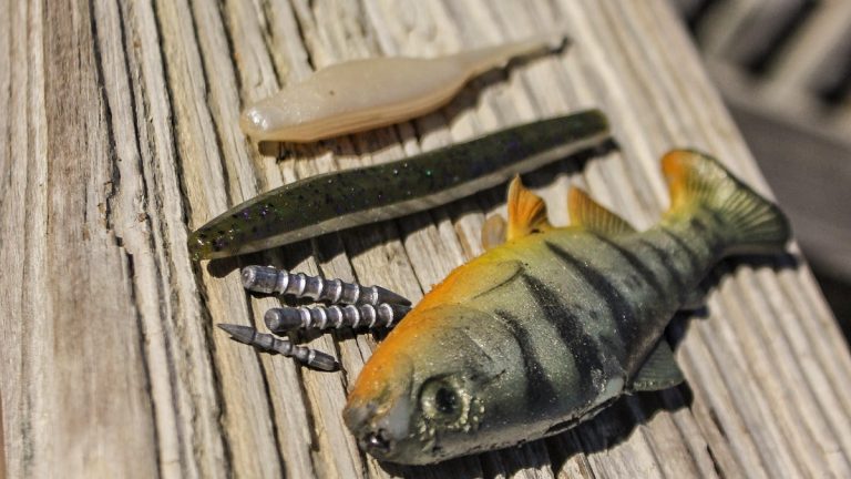 3 Alternative Uses for Neko Rig Bass Fishing Weights