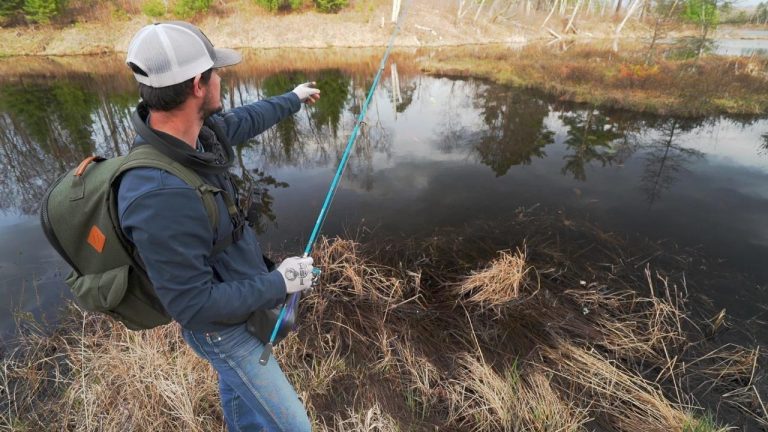 Catch More Spring Panfish with These Bank Fishing Tips