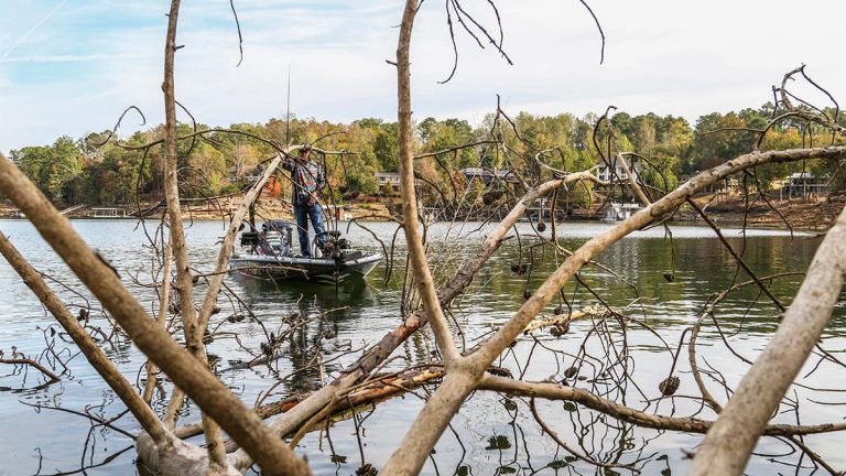 How to Bass Fish the Edges of Thick Cover