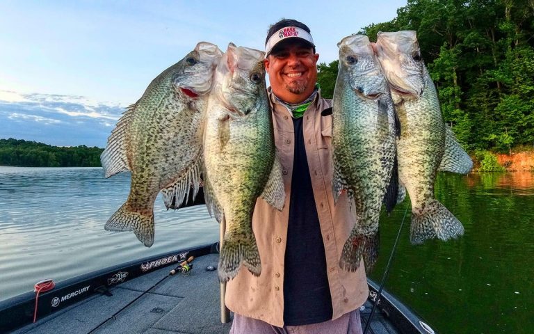 Best Crappie Lakes and Fishing Destinations in America