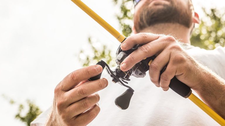 How to Use a Senko to Catch More Bass from the Bank