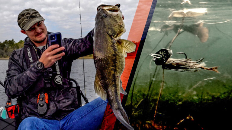 Crushing Big Bass on Magnum ChatterBaits | Fall Tactics