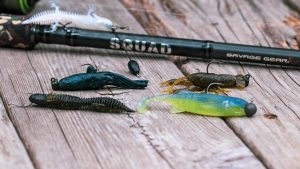 New-Age Ned Rig Baits | Realistic Plastics Hit the Scene