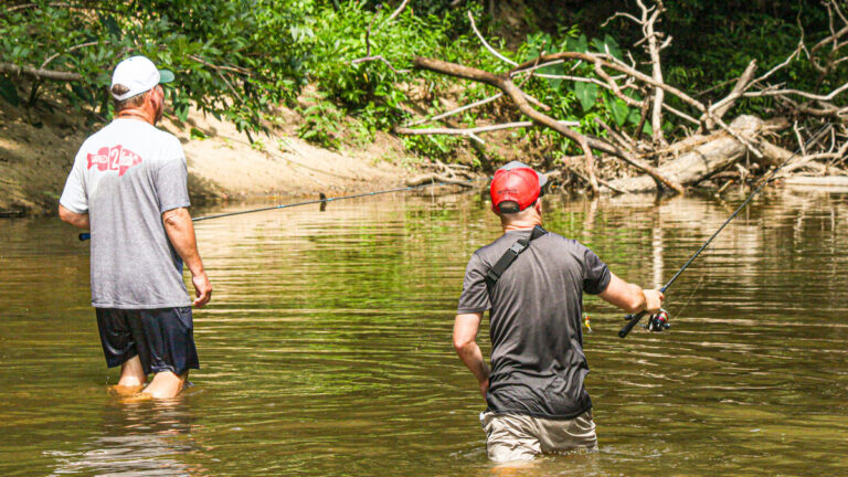 The Complete Guide to Wade Fishing Creeks