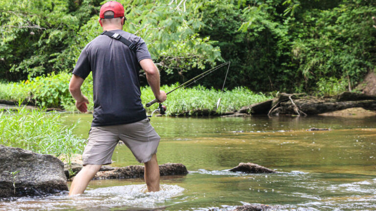 The Complete Guide to Wade Fishing Creeks