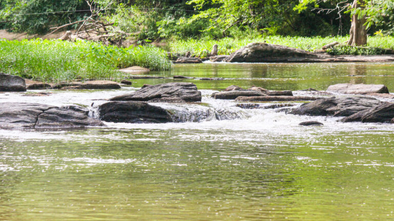 The Complete Guide to Wade Fishing Creeks