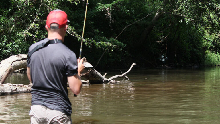 The Complete Guide to Wade Fishing Creeks